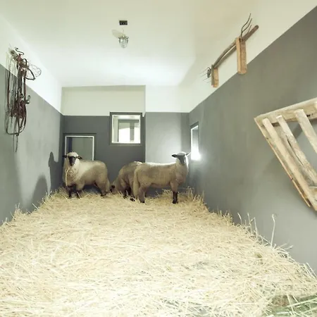 Appartement Middenmank *