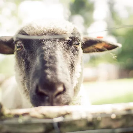 Appartement Middenmank Glaisin